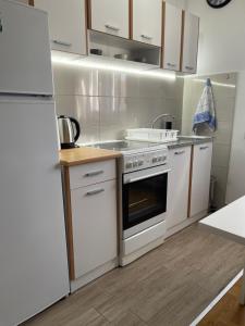 uma cozinha com armários brancos e um forno com placa de fogão em Jana Royal Zarkovo em Bele Vode