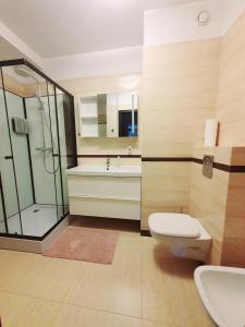 ein Bad mit einem WC, einem Waschbecken und einer Dusche in der Unterkunft ALBATROS in Gdynia
