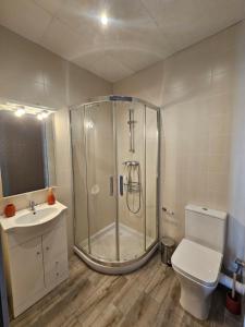 een badkamer met een douche, een toilet en een wastafel bij H&B COSTABLANCA in Villajoyosa