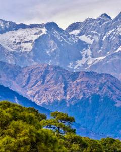 een bergketen met een boom ervoor bij Snow Biscuit Villa in Dharamshala