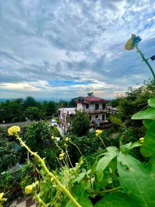 uitzicht op een stad met gebouwen en planten bij Snow Biscuit Villa in Dharamshala