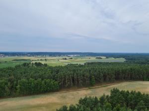 Fotografie z fotogalerie ubytování Wypoczywanko Domek 43, 45 v destinaci Borsk