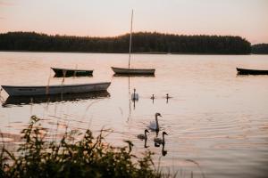 Fotografie z fotogalerie ubytování Wypoczywanko Domek 43, 45 v destinaci Borsk