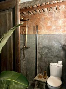 a bathroom with a shower and a toilet and a plant at L'ESTABLE DE CAN TABERNER in Bigues i Riells