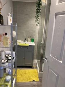 La petite salle de bains est pourvue d'un lavabo et d'une douche. dans l'établissement Beautiful new Garden Annexe, à Ashton-in-Makerfield