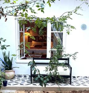 Ein Garten an der Unterkunft Dar Yessine Boutique Hôtel
