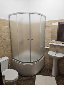 een douche in een badkamer met een toilet en een wastafel bij Casa Dragoste in Someşu Cald