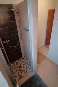 y baño con ducha y puerta de cristal. en Guest House Sherpa, en Moravská Třebová