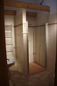 Un baño con ducha, inodoro y lavabo. en 4 Sterne Apartment Greifswalder Oie mit Balkon, en Lobbe