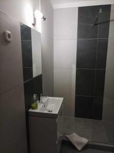 a bathroom with a sink and a shower with a mirror at HELIOS Hotel Apartments in Budapest