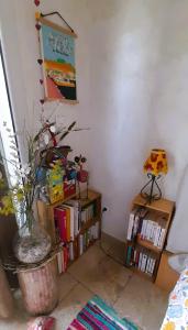un salon avec une étagère remplie de livres dans l'établissement Cocon Provençal - T1 25m2 - SdB - Terrasse privée & Accès Piscine à Saint Chamas, à Saint-Chamas