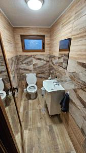 La salle de bains est pourvue de toilettes et d'un lavabo. dans l'établissement Вила Доброво, à Dobrovo