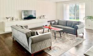 a living room with two couches and a tv at Villa Ferienhaus EMG für Familien und Gruppen in Celle Hannover in Celle