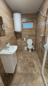 La salle de bains est pourvue de toilettes, d'un lavabo et d'une douche. dans l'établissement Вила Доброво, à Dobrovo