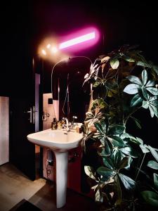 a bathroom with a sink and a potted plant at Les Chambres @ BisousBisous in Jodoigne