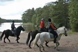 een groep mensen die op paarden op het strand rijden bij Exklusive villa on the coast close to Stockholm in Åkersberga
