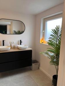 a bathroom with two sinks and a potted plant at Luxe Hottub Huisje Bij het Veen op de rand van het Bargerveen Drenthe in Weiteveen