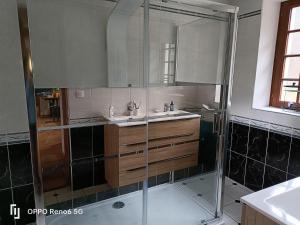 een badkamer met een glazen douche en een wastafel bij ESCAPADE BELINOISE in Moncé-en-Belin