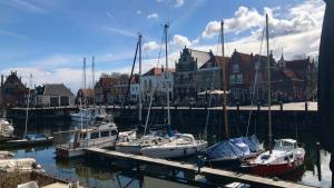 a group of boats docked in a harbor with buildings at Costa Linda B&B in Vlissingen