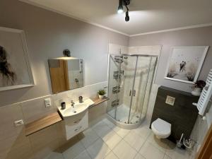 a bathroom with a shower and a toilet and a sink at Apartamenty EDK in Jelenia Góra