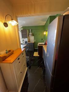 a kitchen with green walls and a refrigerator at Appartement t2 in Vénissieux