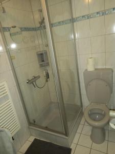 łazienka z prysznicem i toaletą w obiekcie Großhof w mieście Lenzkirch