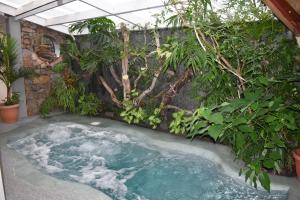 a hot tub in the middle of a garden at les pieds dans l'eau 4 personnes in Cilaos