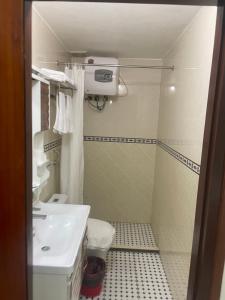 ハザンにあるHolly's Hostel Ha Giang B&Bの洗面台とトイレ付きの小さなバスルーム