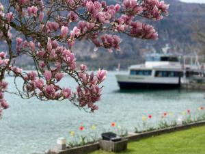 a boat in the water with a tree with pink flowers at Hotel Radetzky in Sankt Gilgen