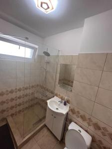 ein Bad mit einem WC, einem Waschbecken und einer Dusche in der Unterkunft Apartament 2 camere Sector 1 in Bukarest