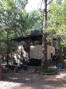 a house in the woods with a tree at Complejo Valhalla 6 in Mar Azul