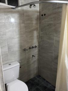 a bathroom with a toilet and a shower at alojamiento la pipi in Las Heras