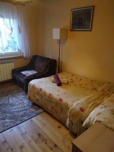 a bedroom with a bed and a couch and a chair at Agroturystyka u Psotki in Kużmina