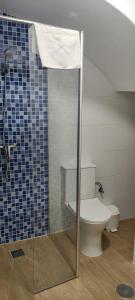 マラガにあるApartamento centro de Malagaのバスルーム(トイレ、ガラス張りのシャワー付)