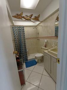 y baño con aseo, lavabo y ducha. en VISTALAGO APARTMENTS en Guatemala