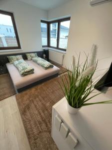 a living room with a couch and a table at VRG 1 Exkluzív Apartman in Debrecen