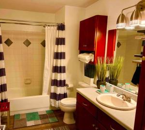 a bathroom with a sink and a toilet and a shower at Coolest condo ever- Indy's best at your door step - Central Mass Ave! in Indianapolis