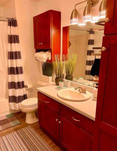 a bathroom with a sink and a toilet and a mirror at Coolest condo ever- Indy's best at your door step - Central Mass Ave! in Indianapolis