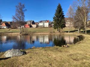 a pond in a field with houses in the background at Apartment Henri in Schönwald