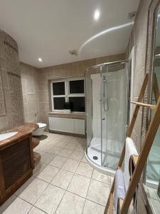 uma casa de banho com um chuveiro e um WC. em Kilmore Lodge em Lisnaskea