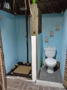 a bathroom with a toilet in a blue wall at El Puente in El Paredón Buena Vista