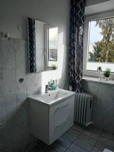 a bathroom with a sink and a shower and a mirror at Ferienwohnung Allgäu 2 in Memmingen