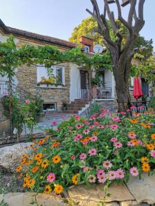 a house with a flower garden in front of it at Villa Vin Santo 