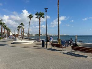 a street with benches and palm trees and the ocean at Exceptional townhouse in Paphos City