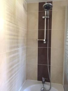 a bathroom with a shower with a shower head at Bel appart au bord de l’eau proche gare avec wifi in Auxerre