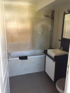 ein Bad mit einem Waschbecken und einem WC in der Unterkunft Bel appart au bord de l’eau proche gare avec wifi in Auxerre