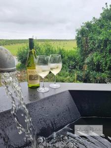 dos copas de vino blanco junto a una fuente de agua en Hakuna Matata Game Farm, en Groot Brak Rivier