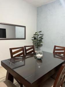 a dining room table with a plant in a vase on it at Casa de la esquina in Santa María del Oro
