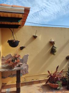 una pared con macetas en un patio en Villa Bruma Isabella, en Corralejo