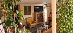 un salon rempli de nombreuses plantes et d'une télévision dans l'établissement Hôtel L'Etoile Aéroport - A61, à Carcassonne
